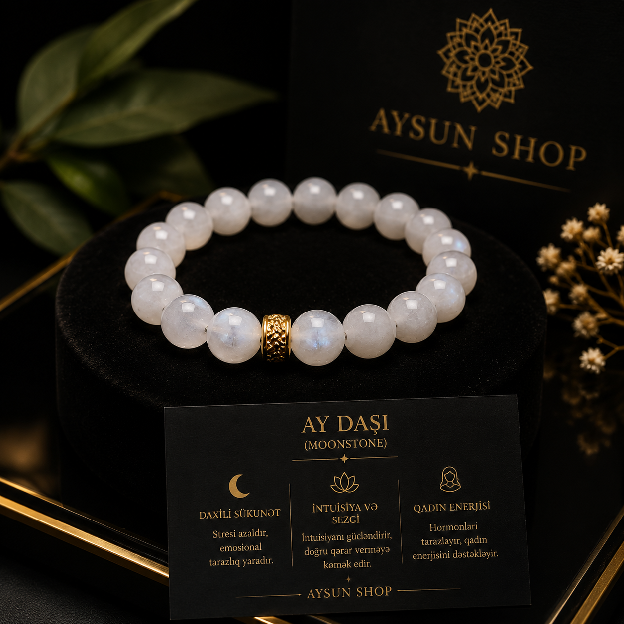 Ayın işığı